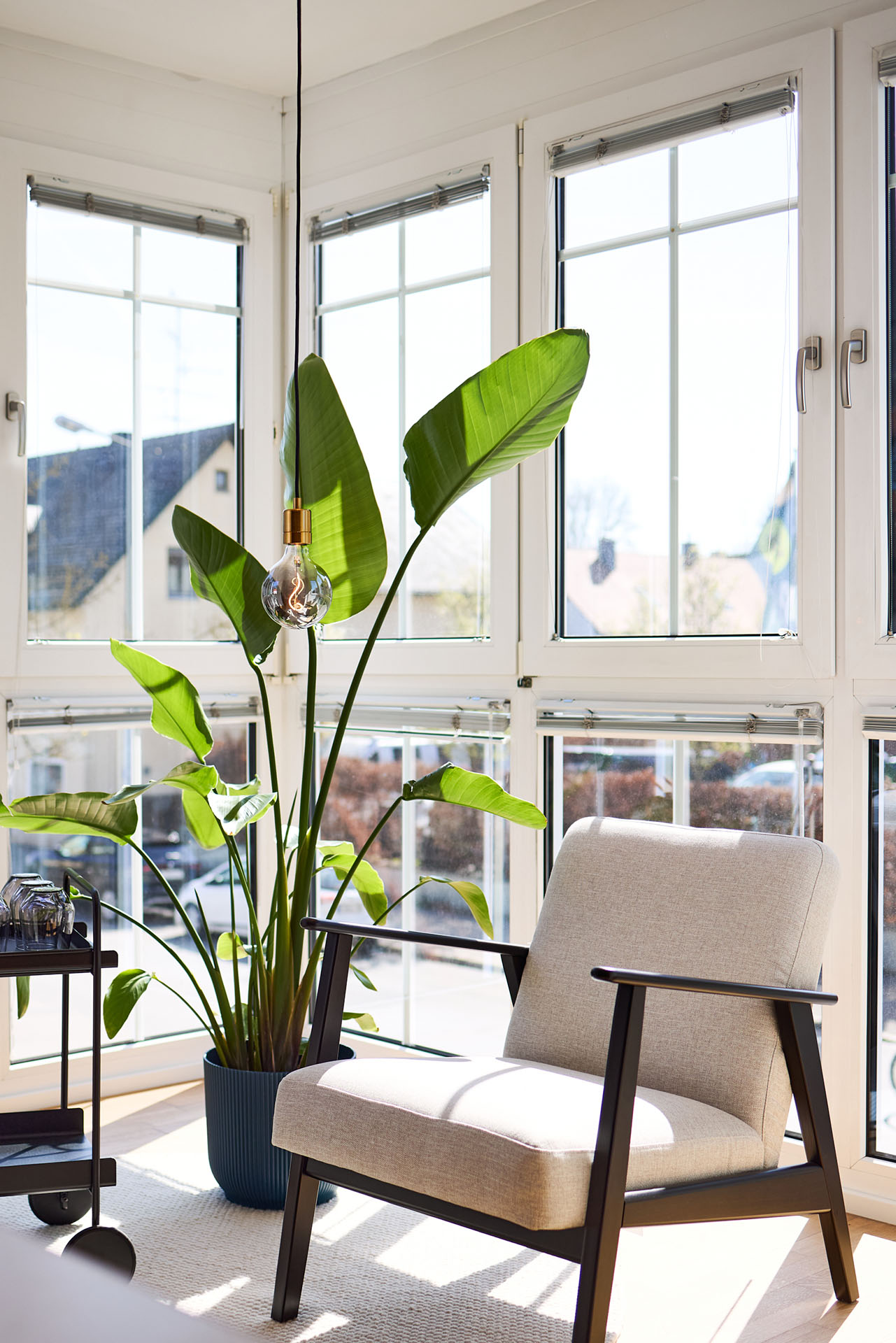 Premium Branding – Christine Singer